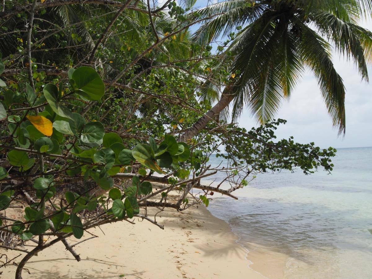 Blue Dream Beach - Residence Plage & Piscine Folle Anse Екстер'єр фото