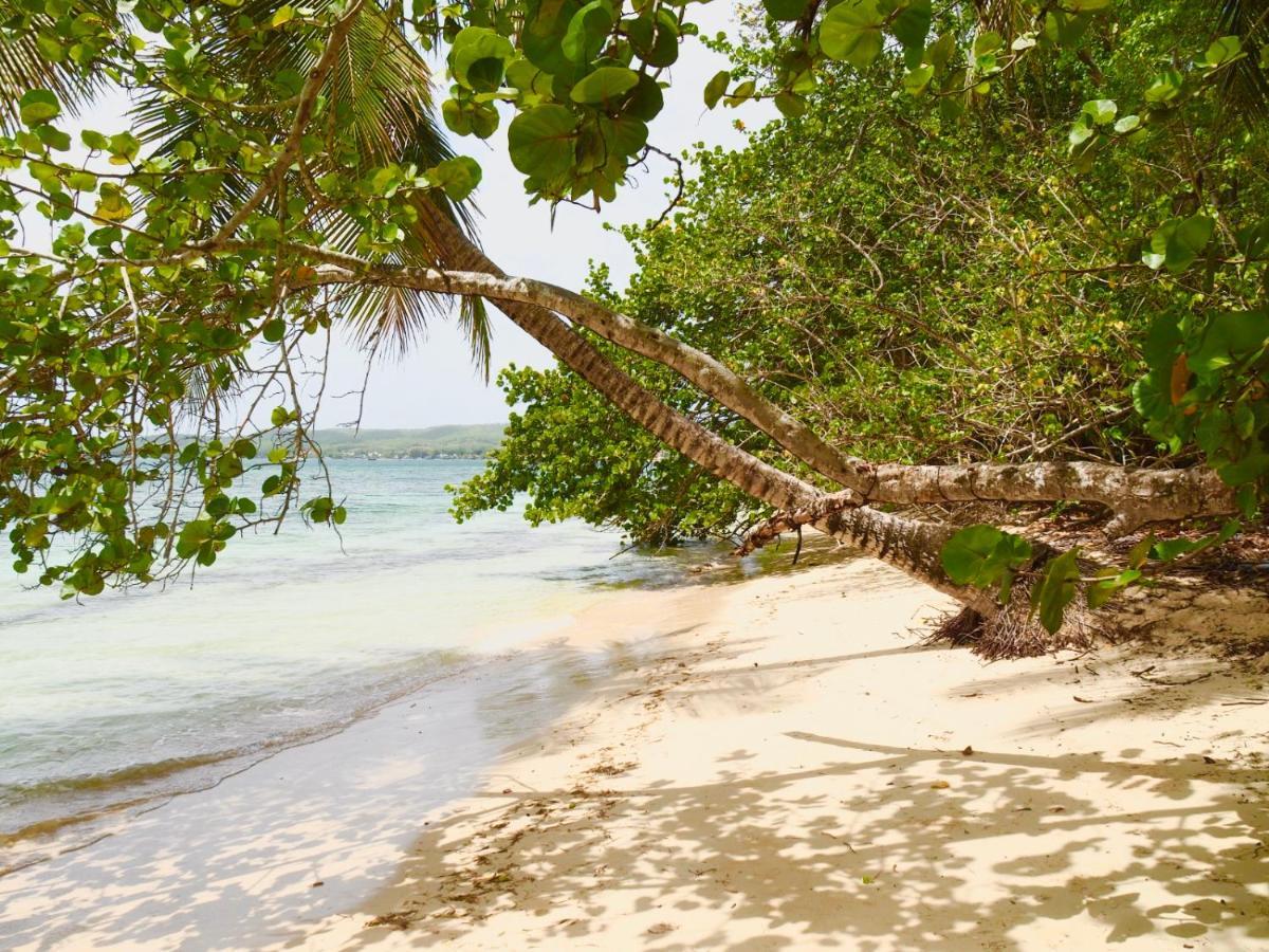 Blue Dream Beach - Residence Plage & Piscine Folle Anse Екстер'єр фото