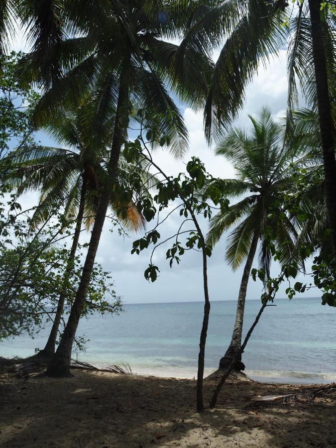 Blue Dream Beach - Residence Plage & Piscine Folle Anse Екстер'єр фото