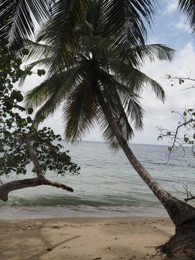 Blue Dream Beach - Residence Plage & Piscine Folle Anse Екстер'єр фото