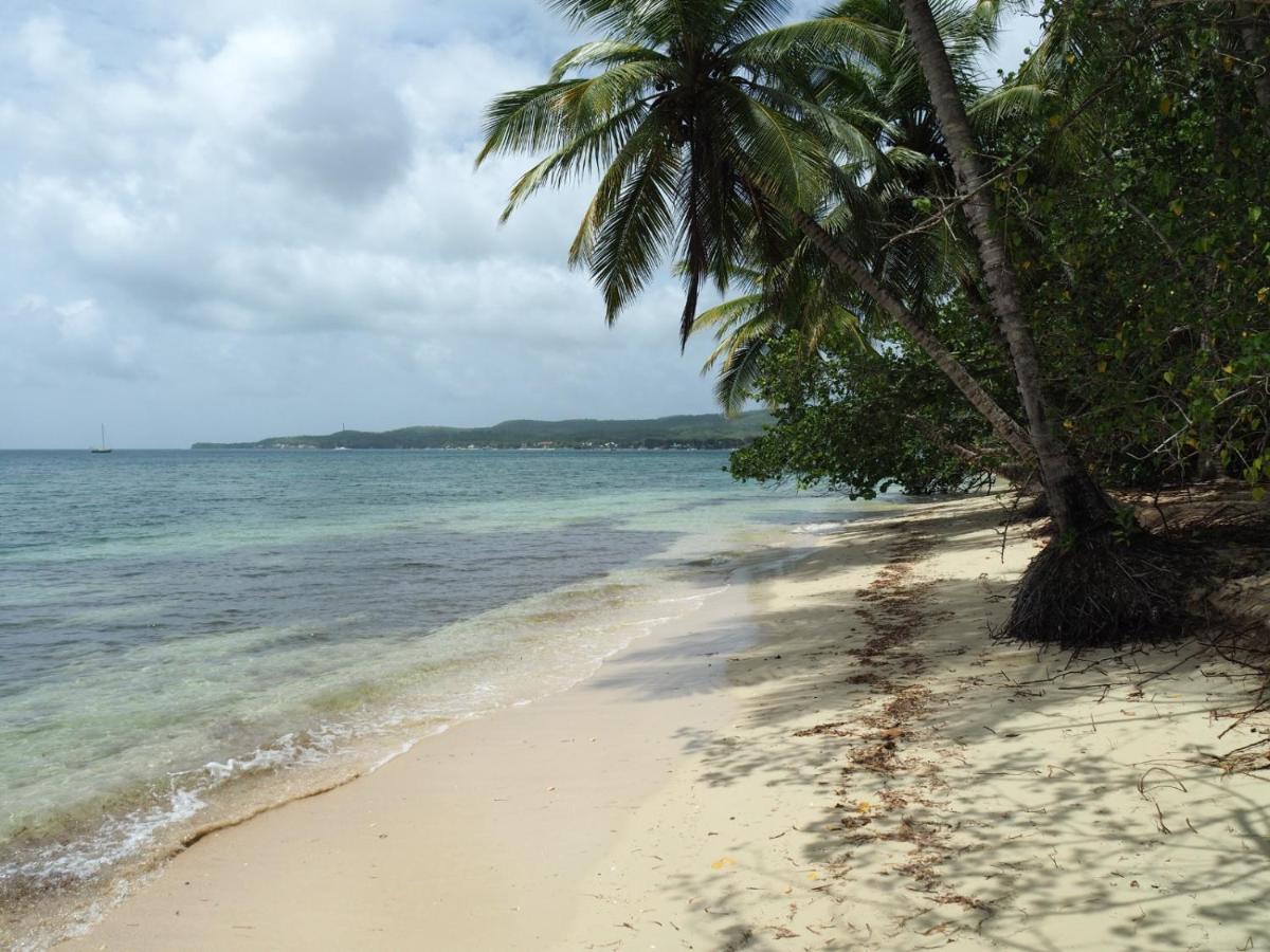 Blue Dream Beach - Residence Plage & Piscine Folle Anse Екстер'єр фото